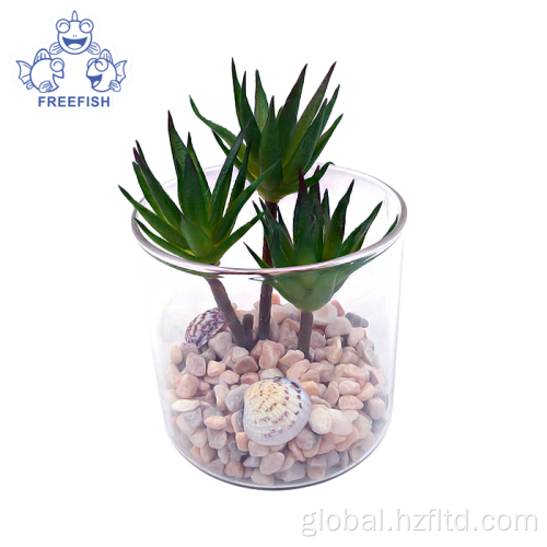 Decorative Plant Pots Mini Desktop Artificial Succulent Plants in Glass pot Manufactory